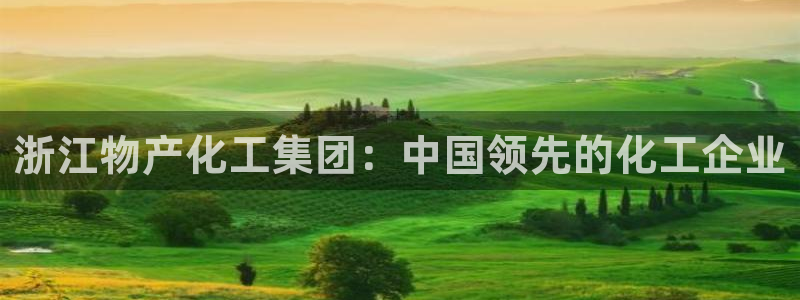 球盟会可靠不