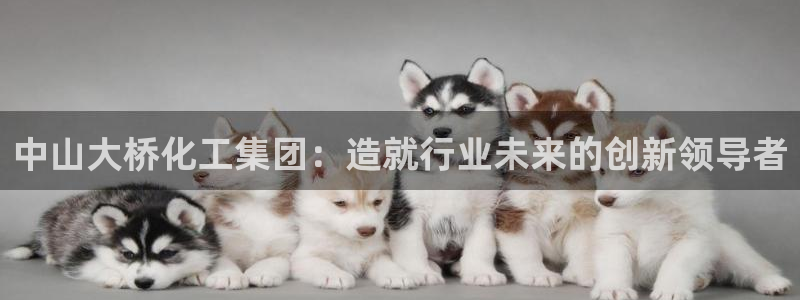 球盟会在线官网