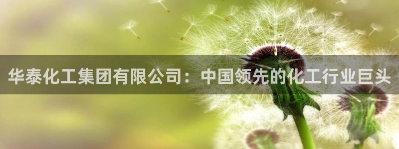 球盟会app最新地址在哪