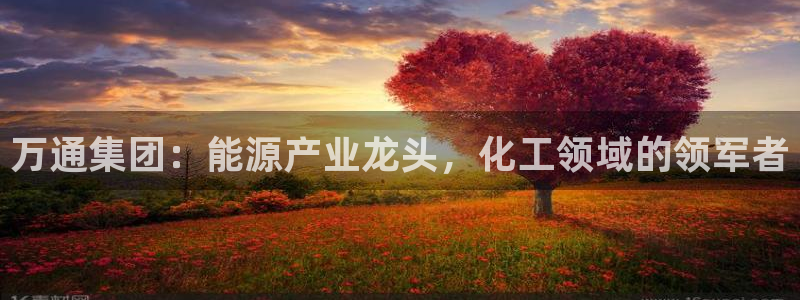 球盟会能退钱吗