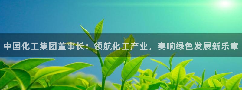 球盟会封号