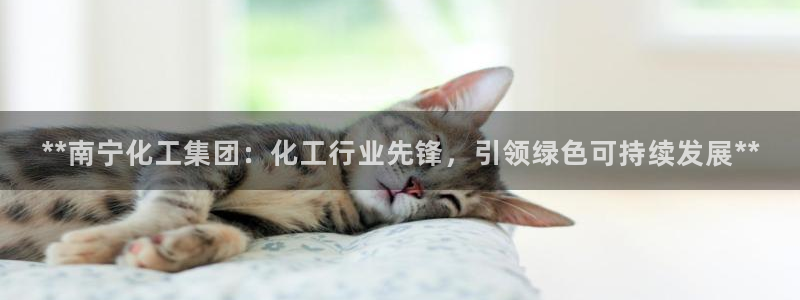 球盟会官方app首页入口