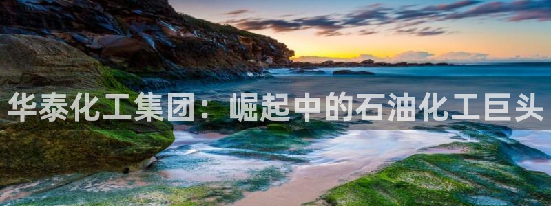 球盟会app网址多少