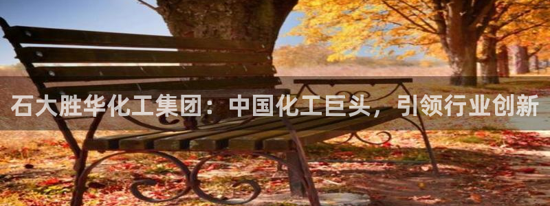 球盟会里面有打牌的嘛知乎