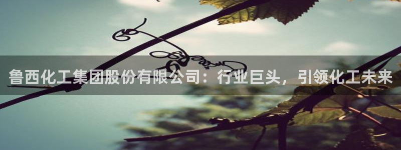 球盟会能提现吗安全吗