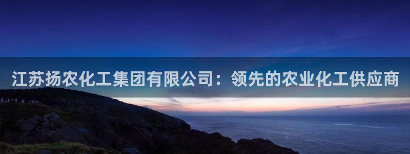 球盟会国际官网