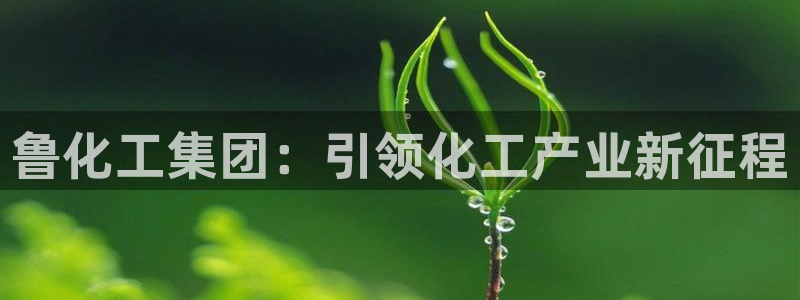 球盟会在线登录官网