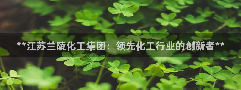 球盟会黑钱
