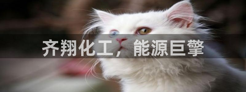 球盟会网页版