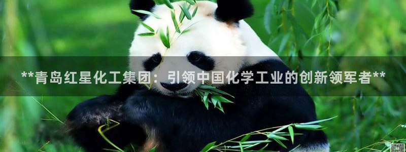 球盟会可以提现么现在