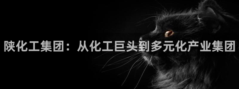 球盟会官网