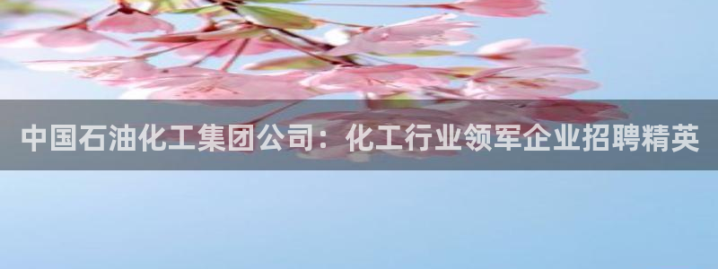 球盟会里面有打牌的嘛：中国石油化工集团公司：化工行业领军企业