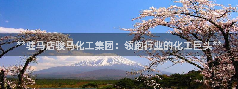 球盟会官方入口
