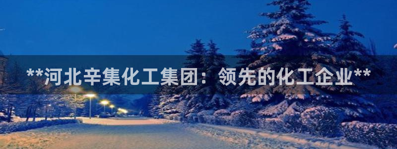 球盟会App：**河北辛集化工集团：领先的化工企业**