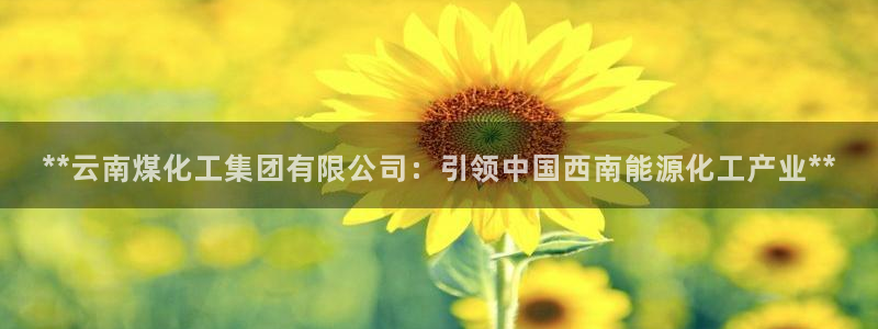 球盟会网页版登陆