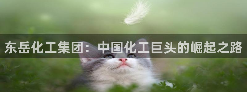 球盟会头号玩家是谁