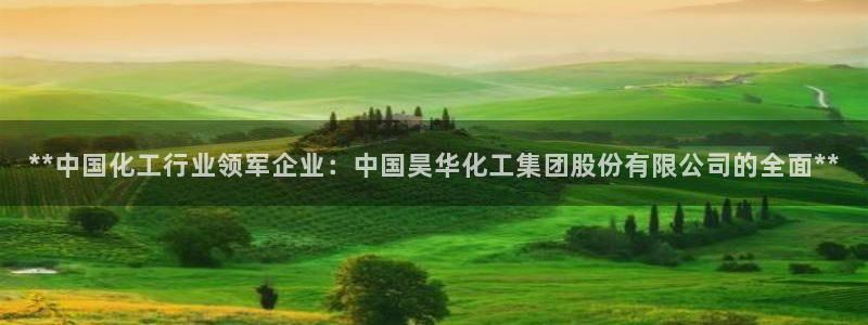 球盟会官方网站入口：**中国化工行业领军企业：中国昊华化工集