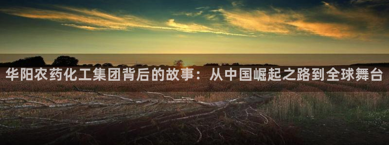 球盟会平台怎么样