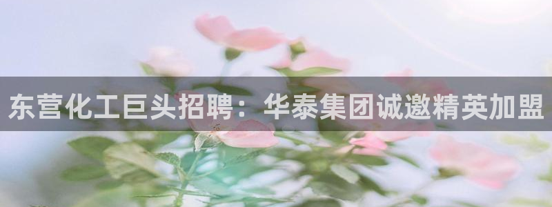 球盟会综合体育平台怎么样
