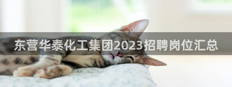 球盟会有没有黑单的人