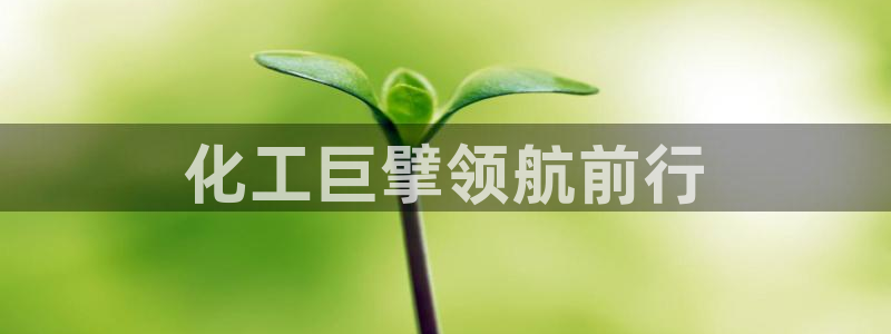 球盟会出款黑了