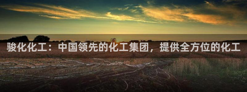 球盟会和中欧