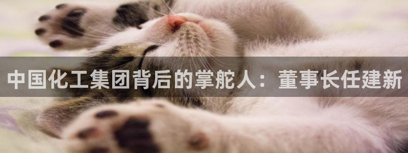 球盟会网页版登陆