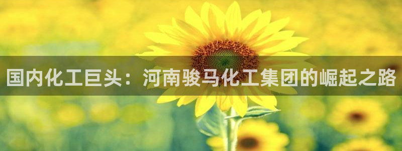 球盟会下款快吗