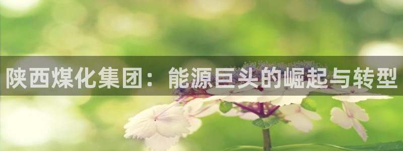 球盟会网页登录app下载地址