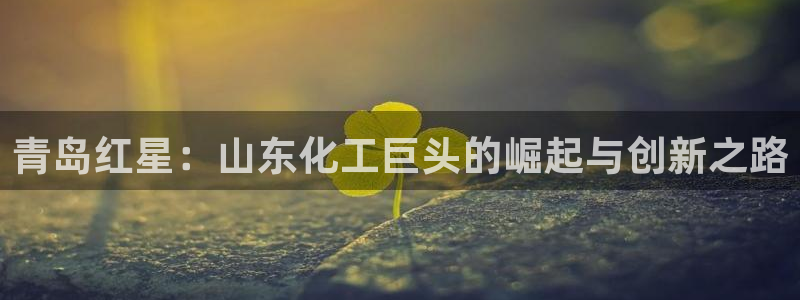球盟会黑款吗知乎