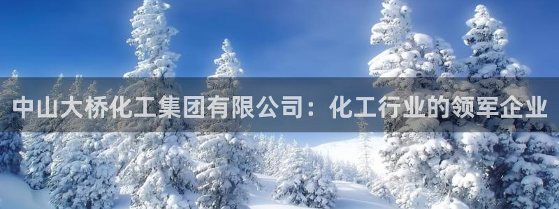 球盟会官方网站app
