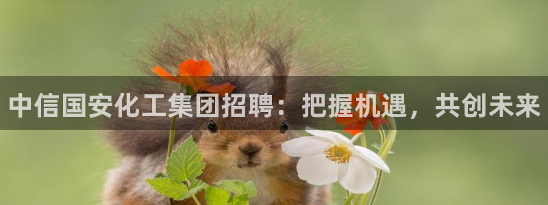 球盟会黑