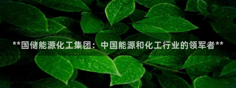 球盟会进不去