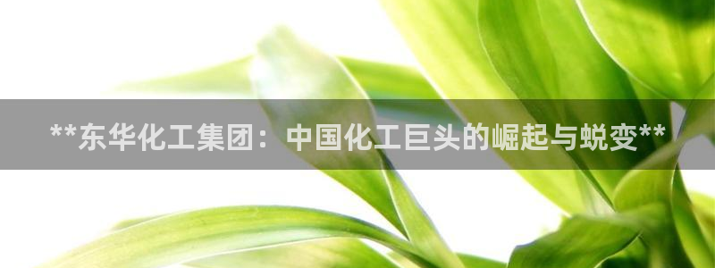 球盟会官网