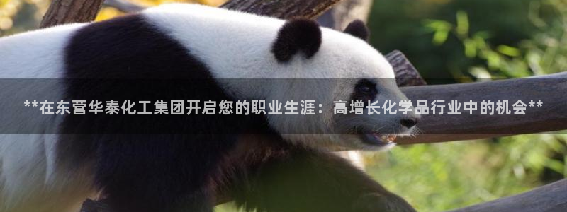 球盟会邮箱