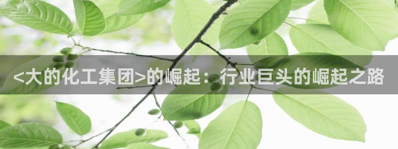 球盟会中国官方网站