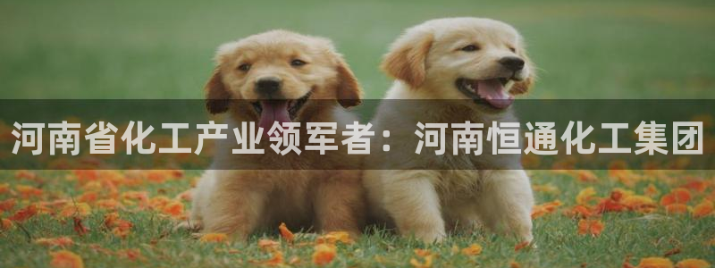 球盟会app最新地址下载：河南省化工产业领军者：河南恒通化工
