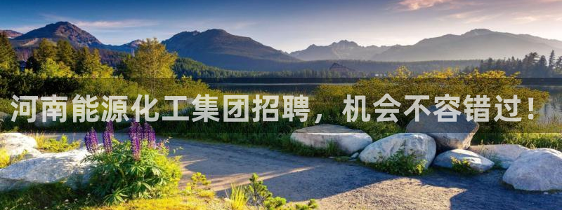球盟会登陆入口