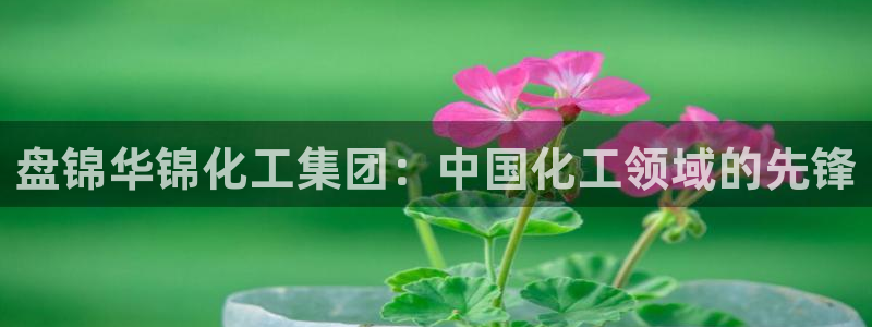 球盟会可以提现么是真的吗