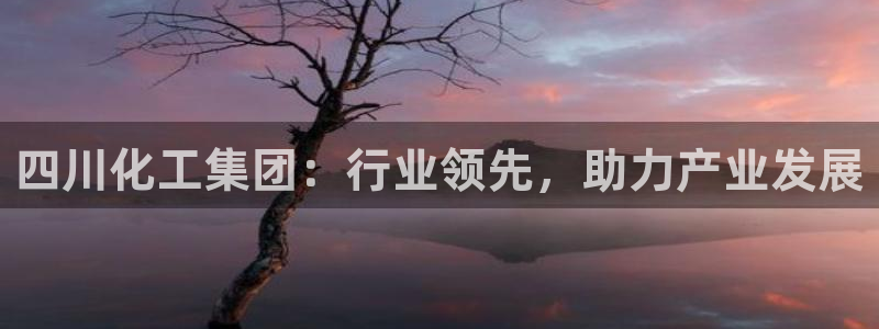 球盟会能提现吗安全吗：四川化工集团：行业领先，助力产业发展