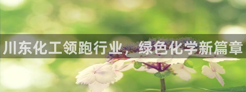 球盟会头号玩家