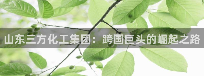 球盟会官方网址入口