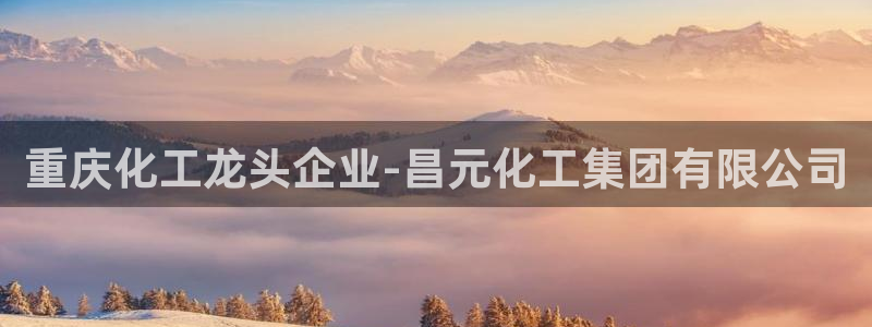 球盟会进不去：重庆化工龙头企业-昌元化工集团有限公司