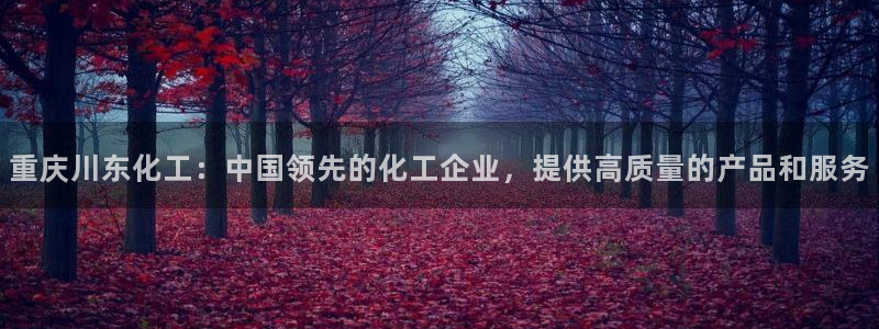 球盟会电子：重庆川东化工：中国领先的化工企业，提供高质量的产
