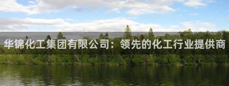 球盟会进不去吗：华锦化工集团有限公司：领先的化工行业提供商