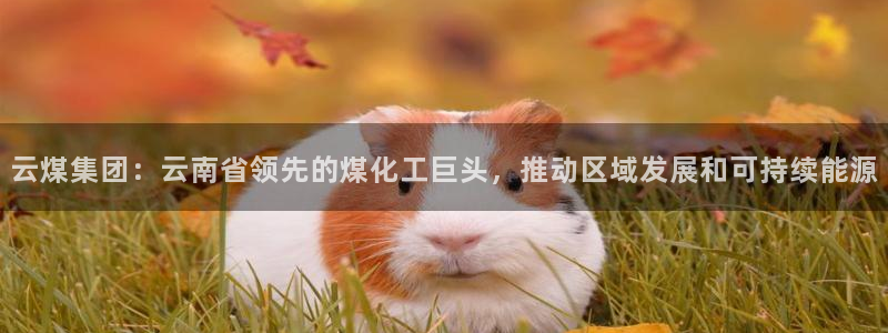 球盟会APP最新地址：云煤集团：云南省领先的煤化工巨头，推动