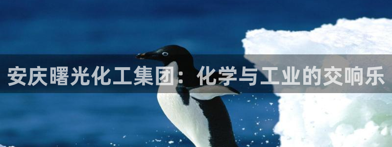 球盟会最新地址备用