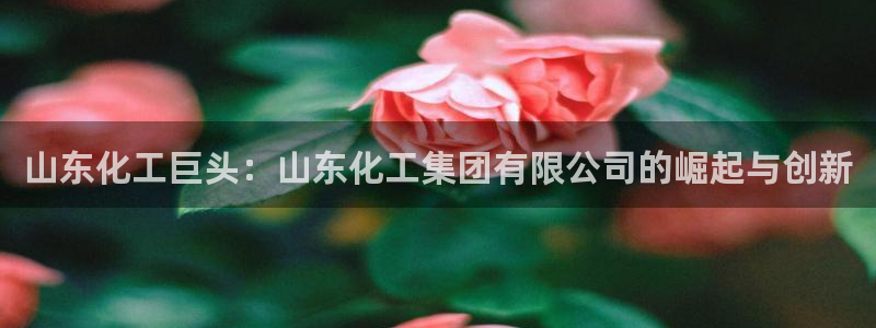 球盟会黑款吗知乎文章