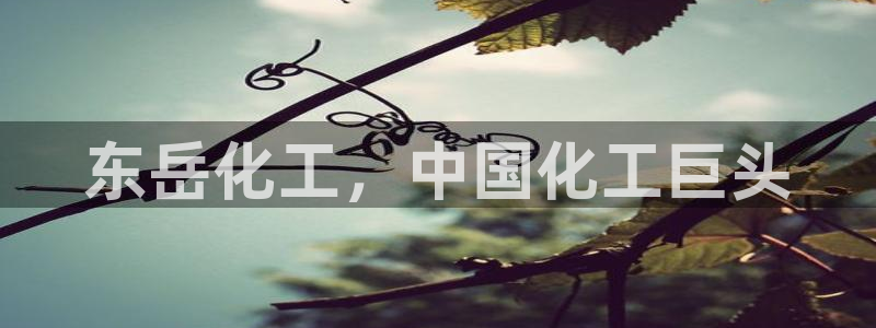 球盟会贴吧