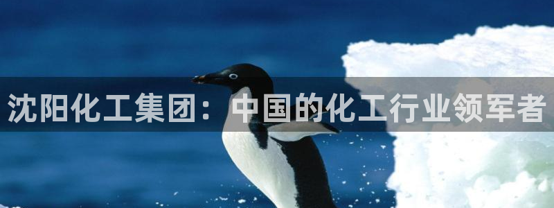 球盟会官网：沈阳化工集团：中国的化工行业领军者